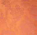 Picture of Orange Peony