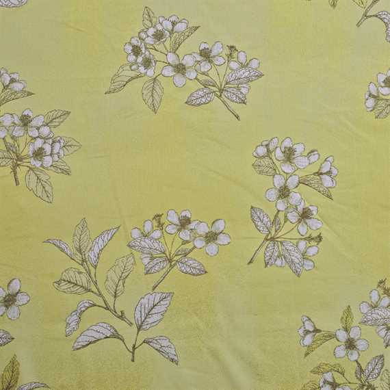 Cherry Plum - Key Lime