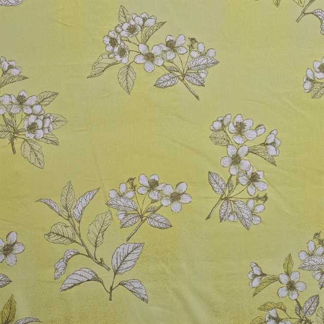 Picture of Cherry Plum - Key Lime